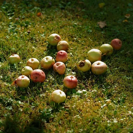 Zakatek U Hani Polanica-Zdrój