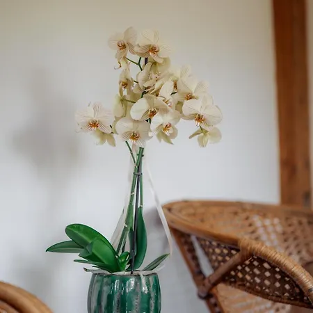 Penzion Zakatek U Hani