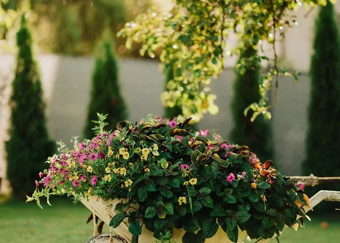 Zakatek U Hani Guest house Polanica-Zdroj