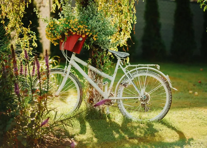 Guest house Zakatek U Hani Polanica-Zdroj