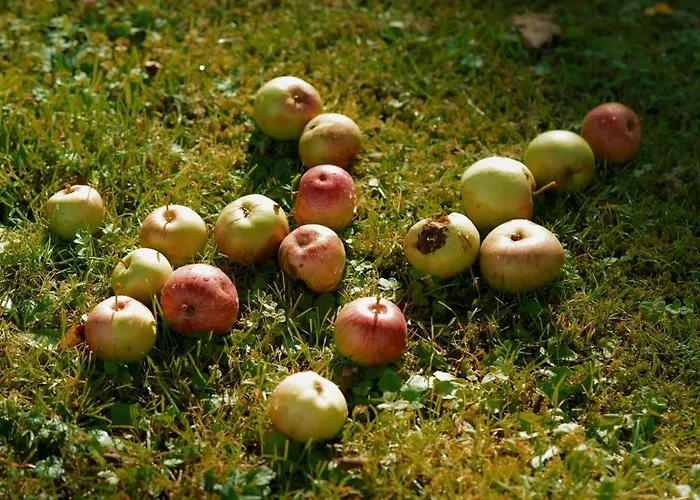 Zakatek U Hani Polanica-Zdroj