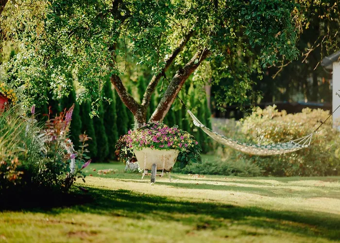 Zakatek U Hani Guest house Polanica-Zdroj