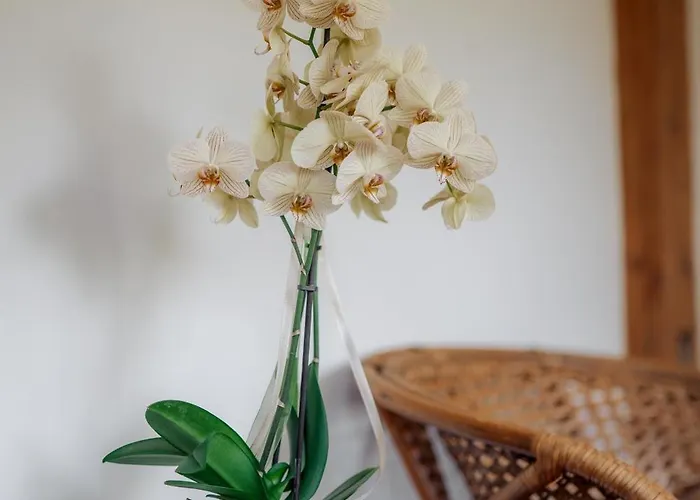 Guest house Zakatek U Hani