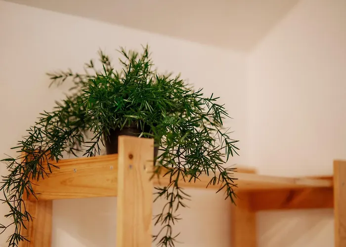 Guest house Zakatek U Hani Polanica-Zdroj