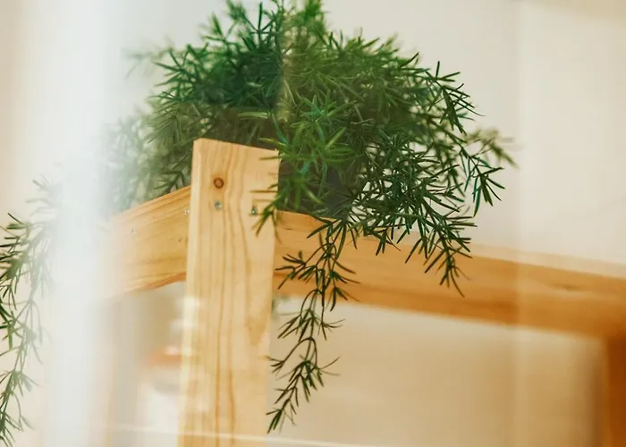 Zakatek U Hani Guest house 3*